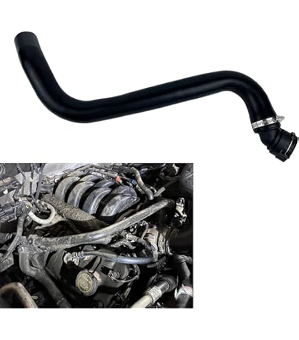 りょうじ Amazon.com: Motorcraft Lower Radiator Hose for 2019 Ford